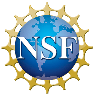 National Science Foundation 2021 Award